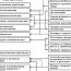 The Substance And Types Of Adaptation Of Staff