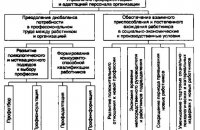 Which Includes Staff Adaptation
