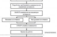 Selection Of Staff Adaptation