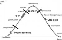 Staff Motivation Theory